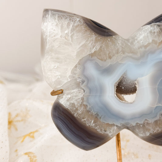 Brazilian Agate Butterfly & Gold Stand