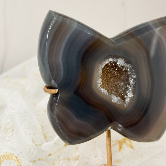 Brazilian Agate Butterfly & Gold Stand
