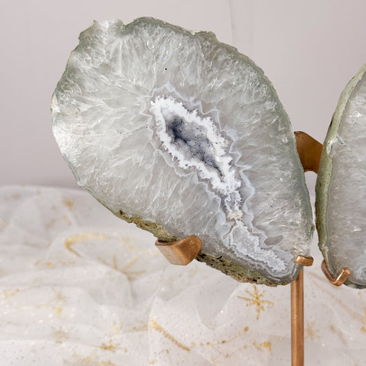 Brazilian Agate Wings & Stand